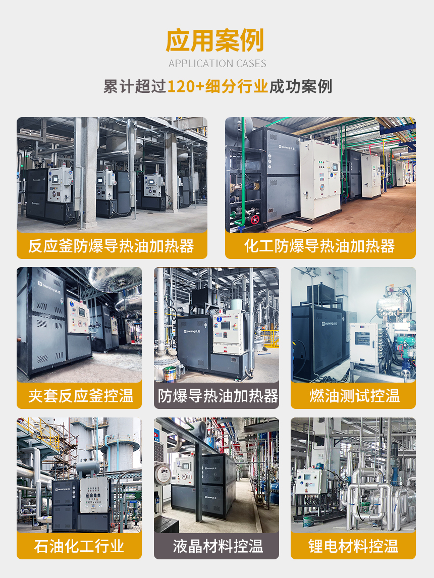 高溫防爆導熱油爐案例