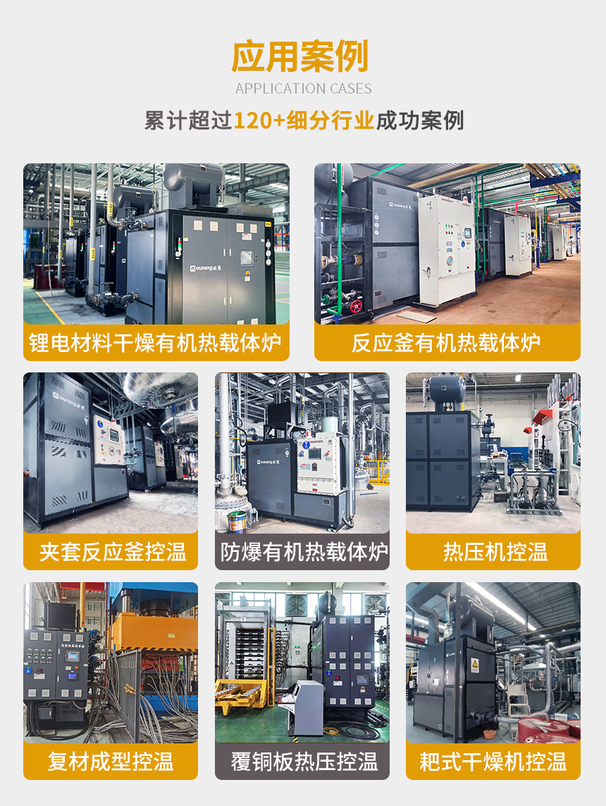 300℃有機熱載體鍋爐案例